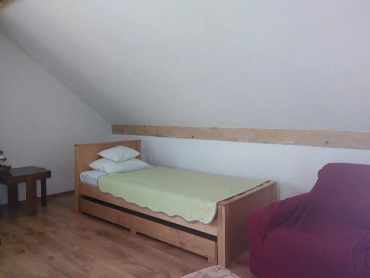 Apartment Zola Gornji Karin