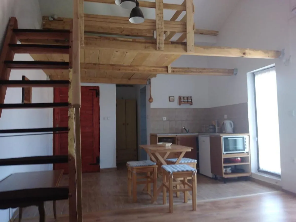Apartment Zola Gornji Karin