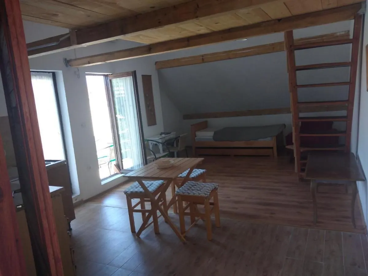 Apartment Zola Gornji Karin Croatia