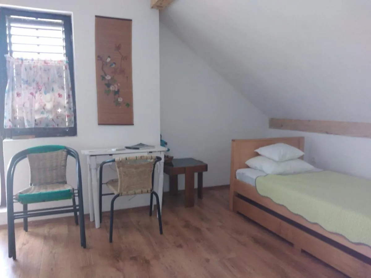 Apartment Zola Gornji Karin Croatia